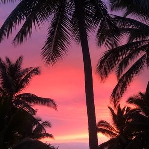 Meet your Posher, Carrol